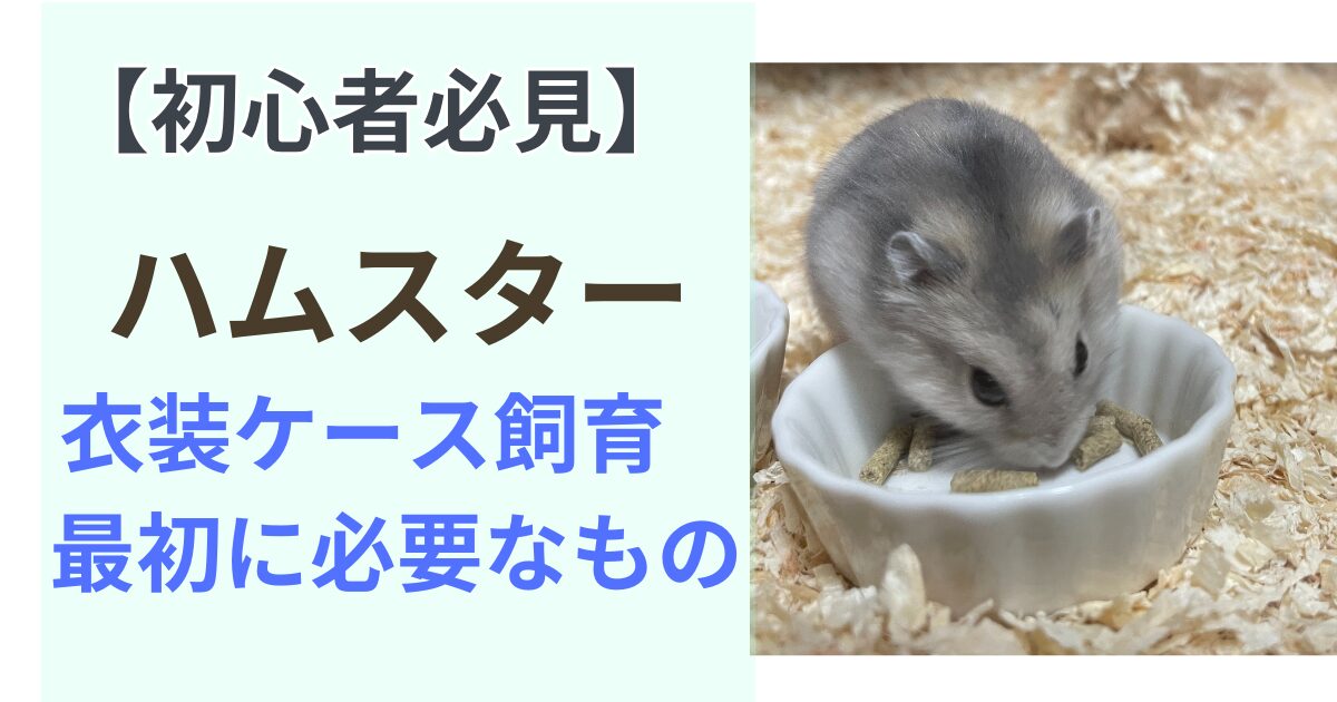 衣装ケース飼育に必要なもの