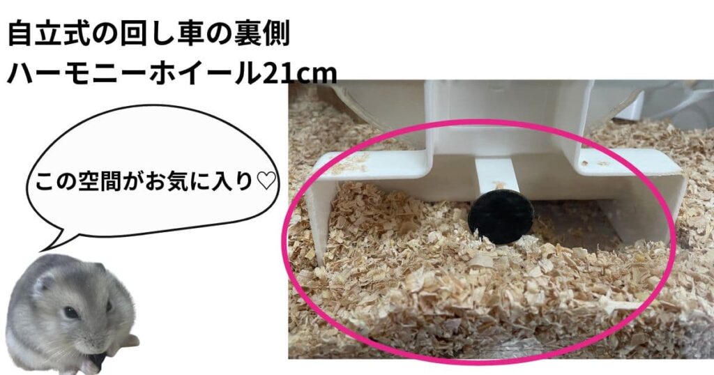 回し車を変更した様子