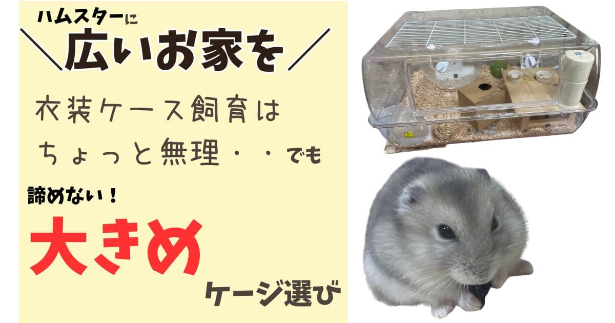 ハムスターに広いお家を！衣装ケースは無理だった我が家が選んだ大きめケージ