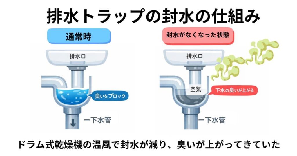 乾燥運転後、下水のような臭いがしてしまう原因の解説図解